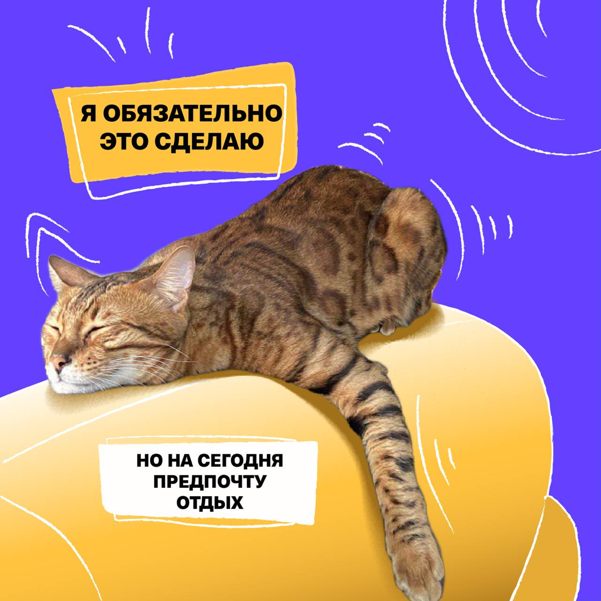 Зацените отпускные (и не только) аватарки от моих друзей из HR команды Timepad | Сетка — социальная сеть от hh.ru