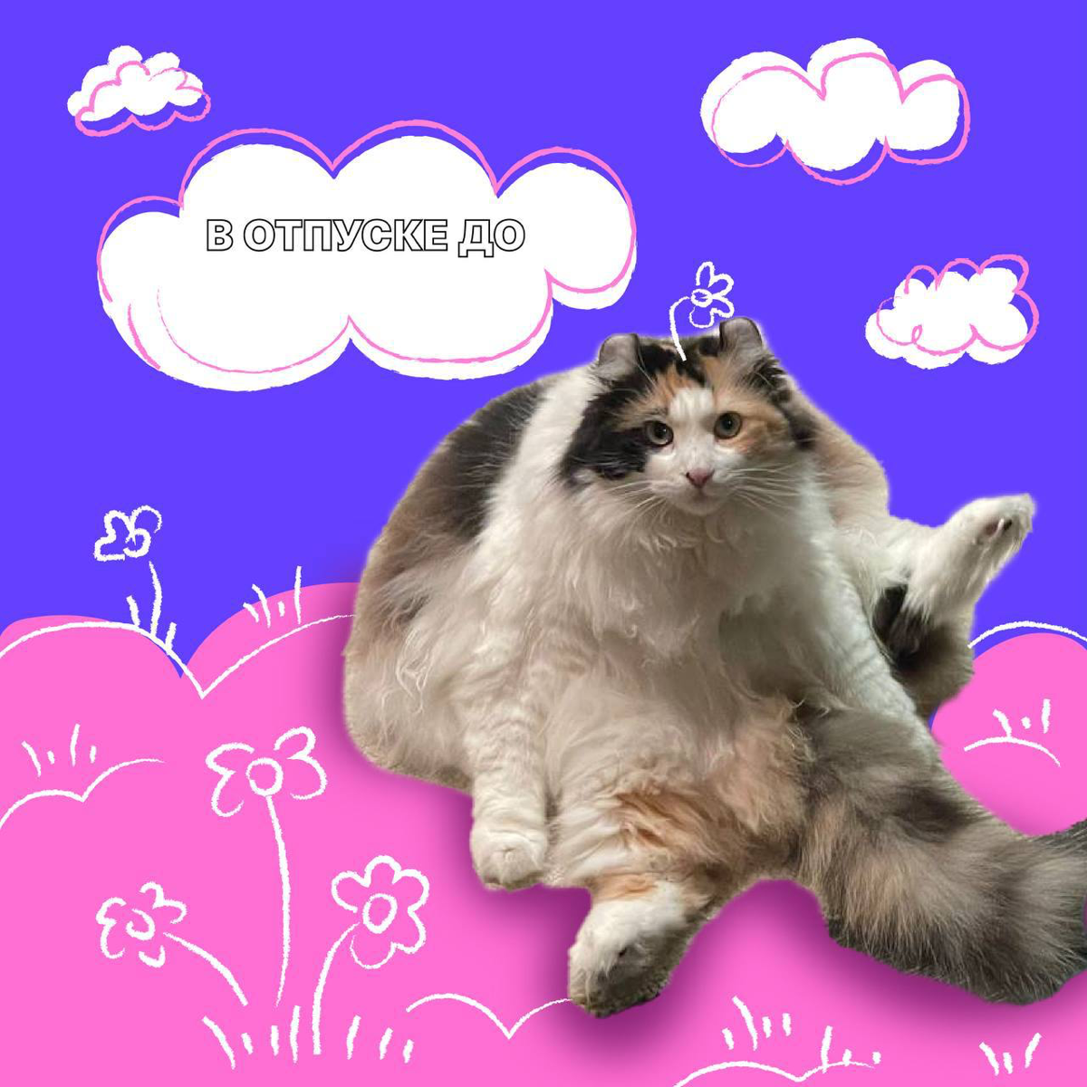 Зацените отпускные (и не только) аватарки от моих друзей из HR команды Timepad | Сетка — социальная сеть от hh.ru