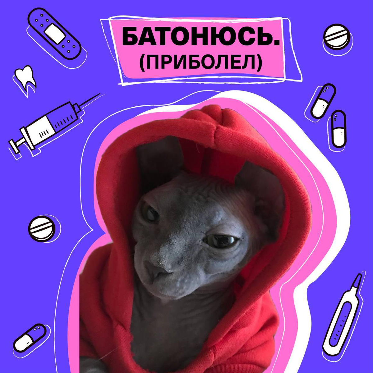 Зацените отпускные (и не только) аватарки от моих друзей из HR команды Timepad | Сетка — социальная сеть от hh.ru