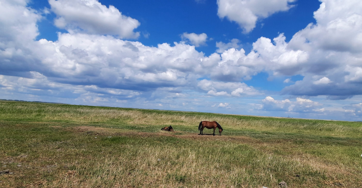 Немного Новосибирской природы) | Сетка — социальная сеть от hh.ru