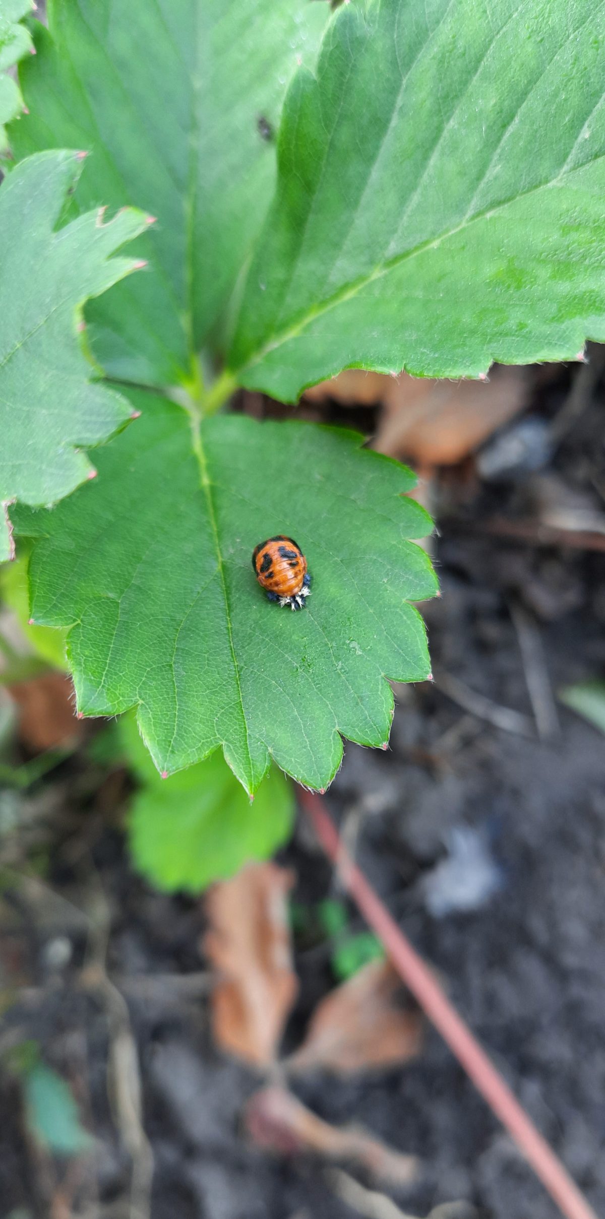 Немного Новосибирской природы) | Сетка — социальная сеть от hh.ru