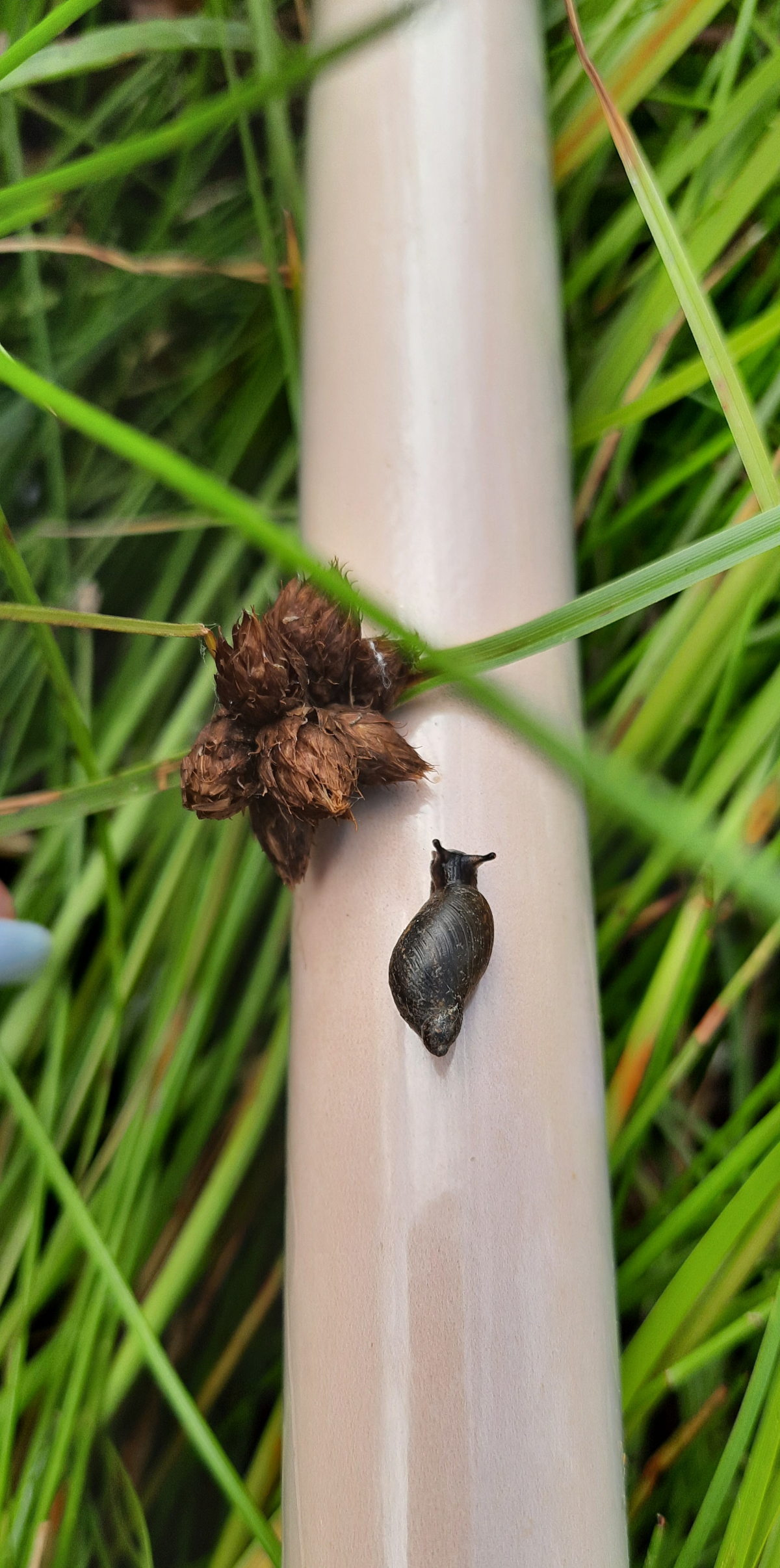 Немного Новосибирской природы) | Сетка — социальная сеть от hh.ru