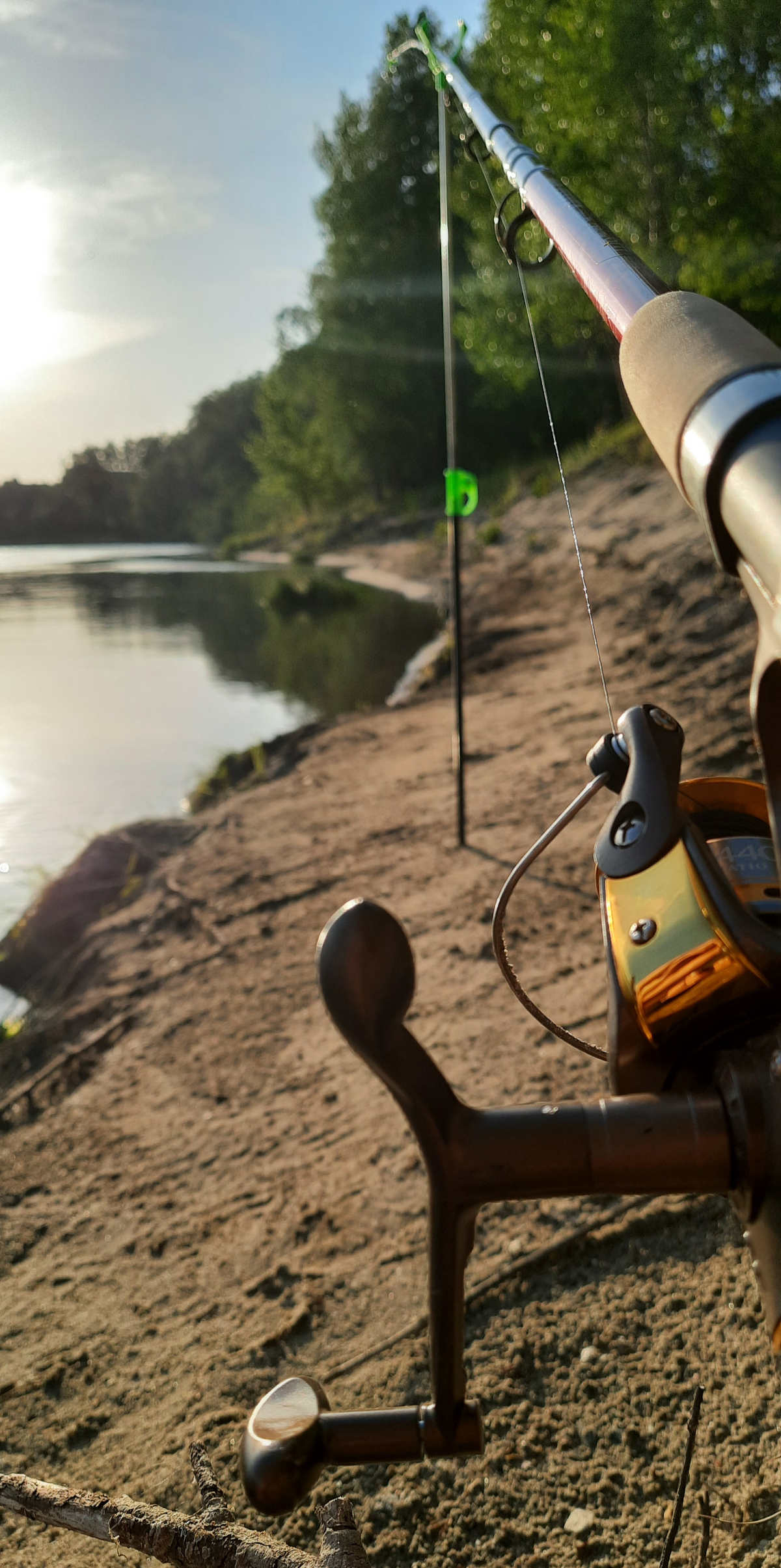 Немного Новосибирской природы) | Сетка — социальная сеть от hh.ru