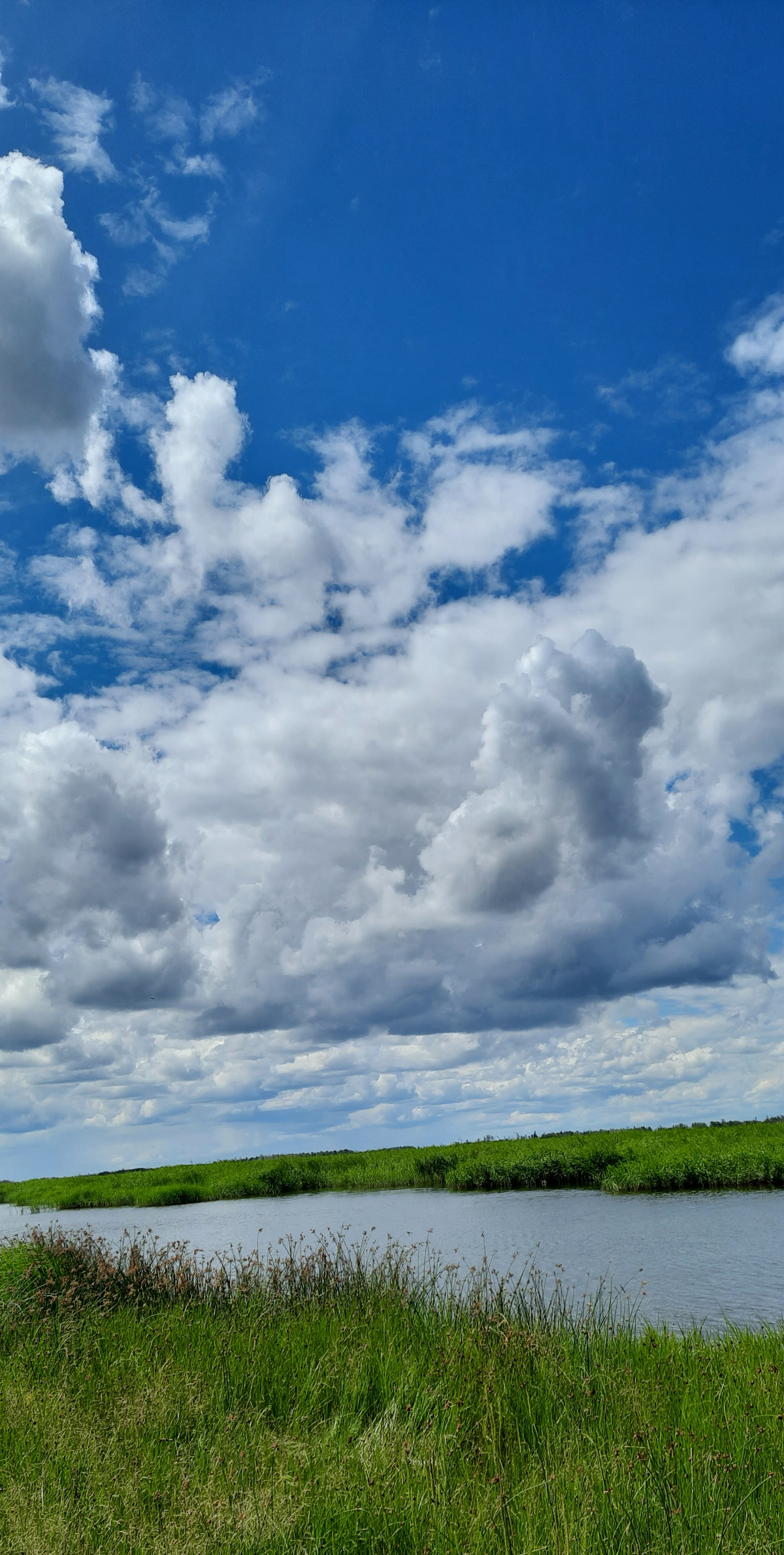 Немного Новосибирской природы) | Сетка — социальная сеть от hh.ru