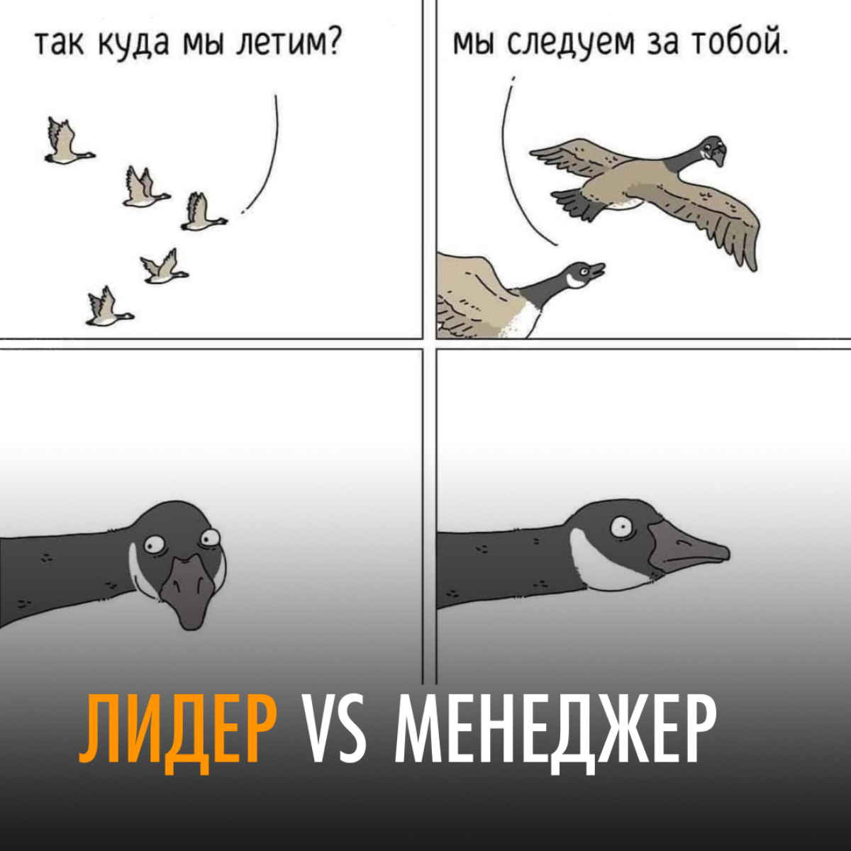 Менеджер vs Лидер: В чем разница?
Различия между менеджером и лидером часто становятся ключевыми в успехе организации | Сетка — социальная сеть от hh.ru