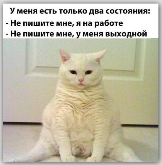 😊 а после 7 часов звонков и: не звоните, не смотрите, не дышите | Сетка — социальная сеть от hh.ru