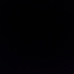 Арина Частова