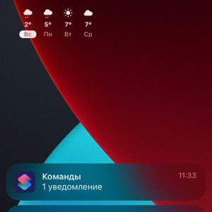 Никита Кузнецов