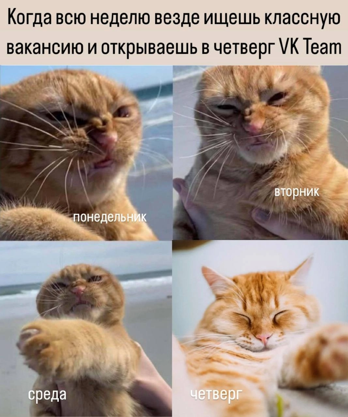 Бэкендеры, давайте сразу к делу | Сетка — социальная сеть от hh.ru