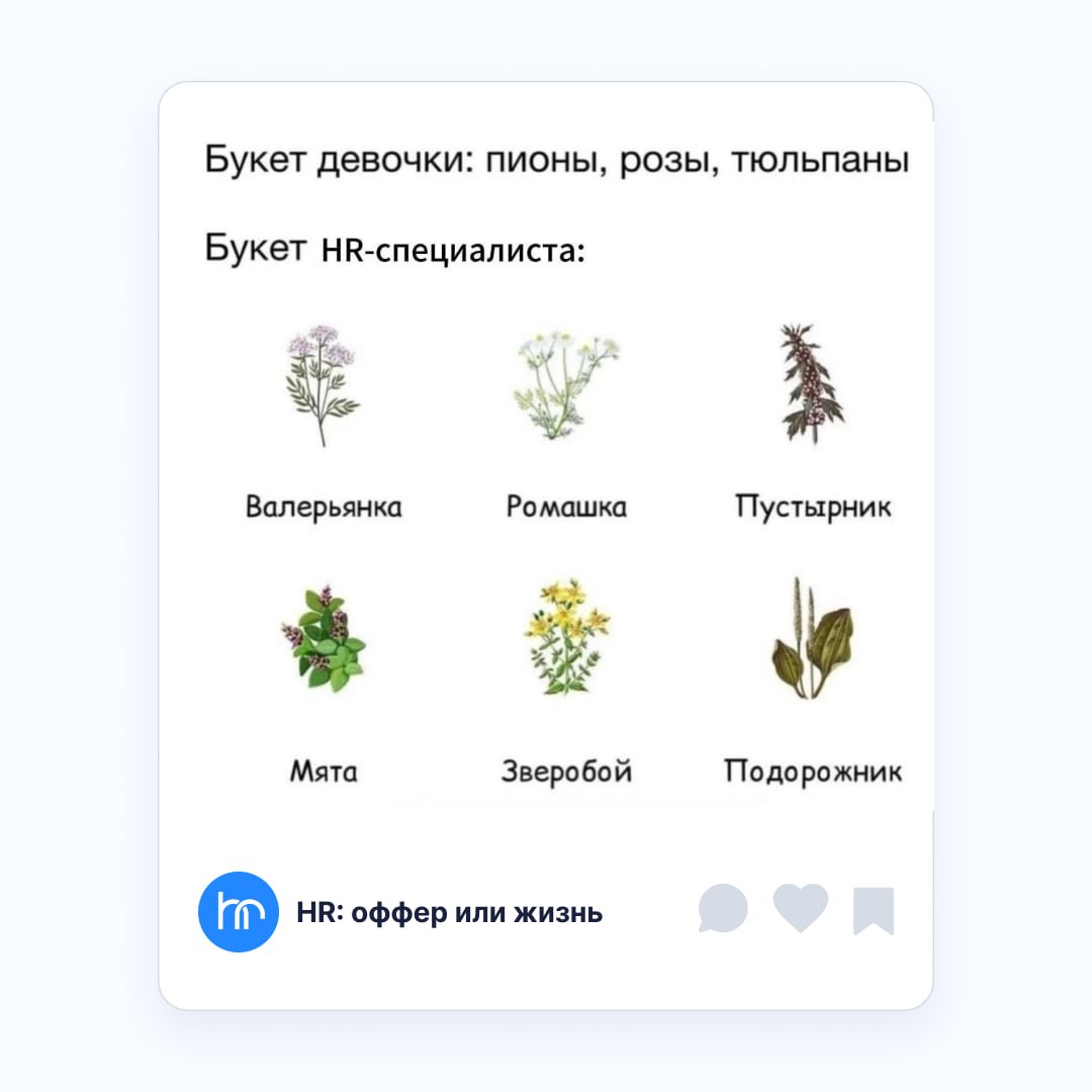 Дарите женщинам цветы 🌹🌹🌹
Без повода и без причины!
Ведь многого не надо,
Чтобы быть счастливой...
Кто пропел – ❤️
📱 HR: оффер или жизнь | Сетка — социальная сеть от hh.ru