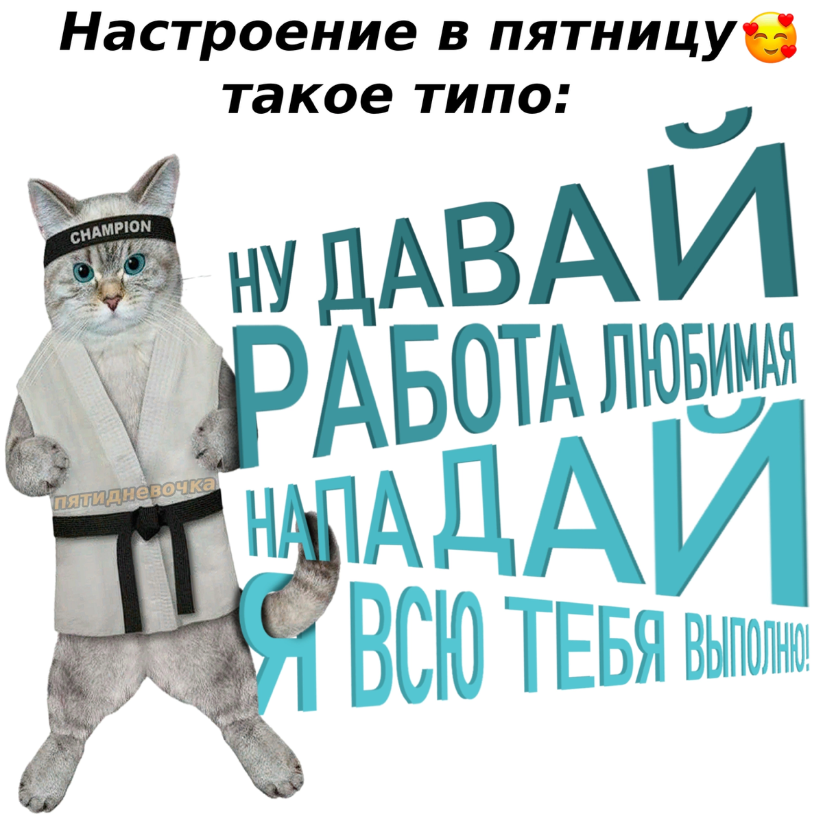 Сетка — социальная сеть от hh.ru