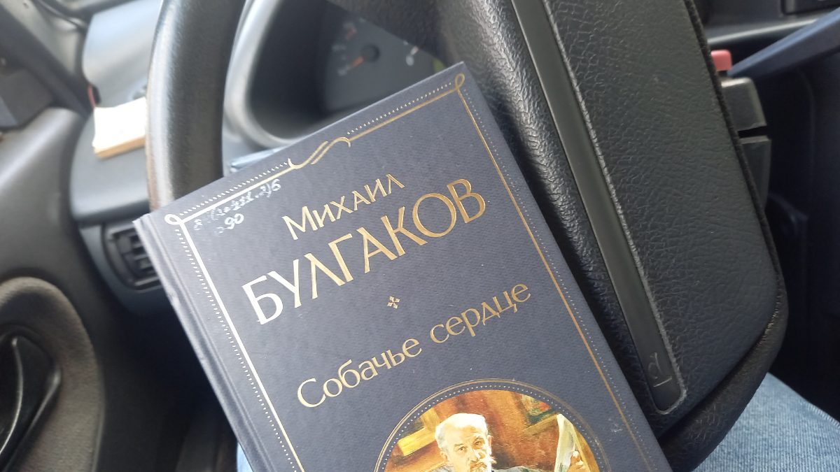 Вы либите читать?
Вы либите читать настоящие книги?🤔🤔🤔 | Сетка — социальная сеть от hh.ru