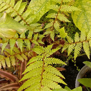 Валерий Савостиков | Сетка — социальная сеть от hh.ru