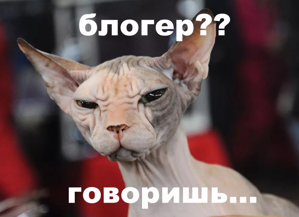 СМИ: Блогеров с аудиторией более 10 тысяч подписчиков планируют обязать сообщать о себе Роскомнадзору, в противном случае таким блогерам будет грозить блокировка"
Обсуждается норма, обязывающая блогер... | Сетка — социальная сеть от hh.ru