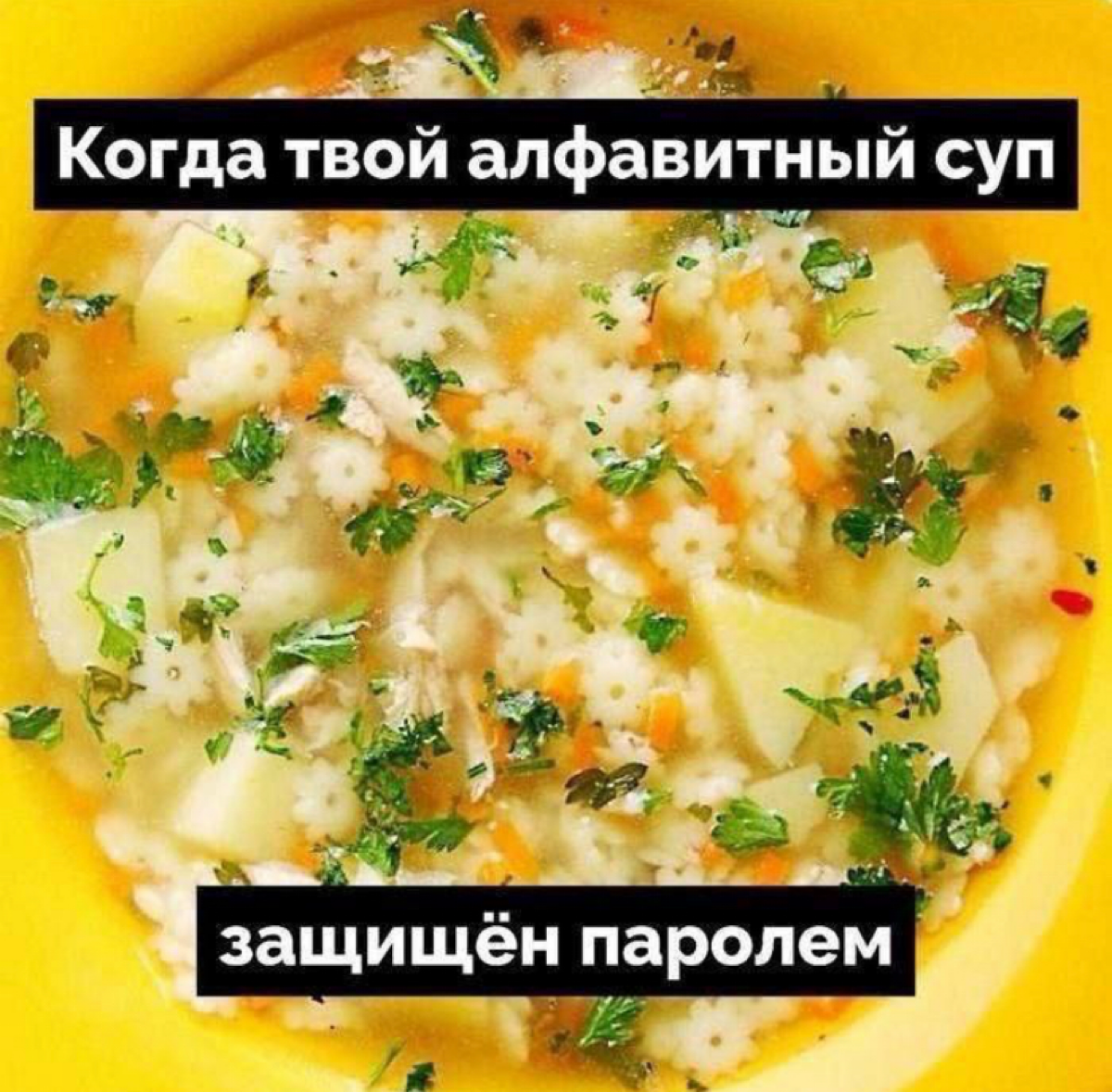 Когда ты мамкин программист 😁 | Сетка — социальная сеть от hh.ru