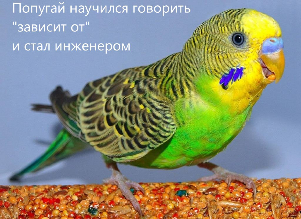 It depends? | Сетка — социальная сеть от hh.ru
