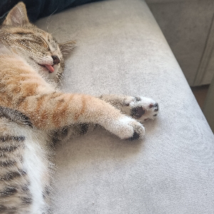 Никита Аверин