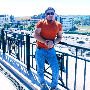 Лев Лев