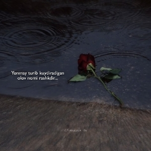 Xurshidbek Tavakkalov