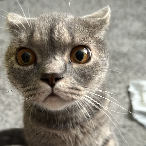 Максим Резников