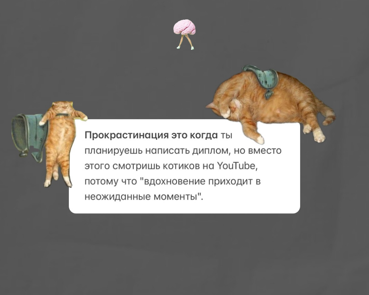 ПРОДОЛЖИТЕ ФРАЗУ:
Прокрастинация это когда .. | Сетка — социальная сеть от hh.ru