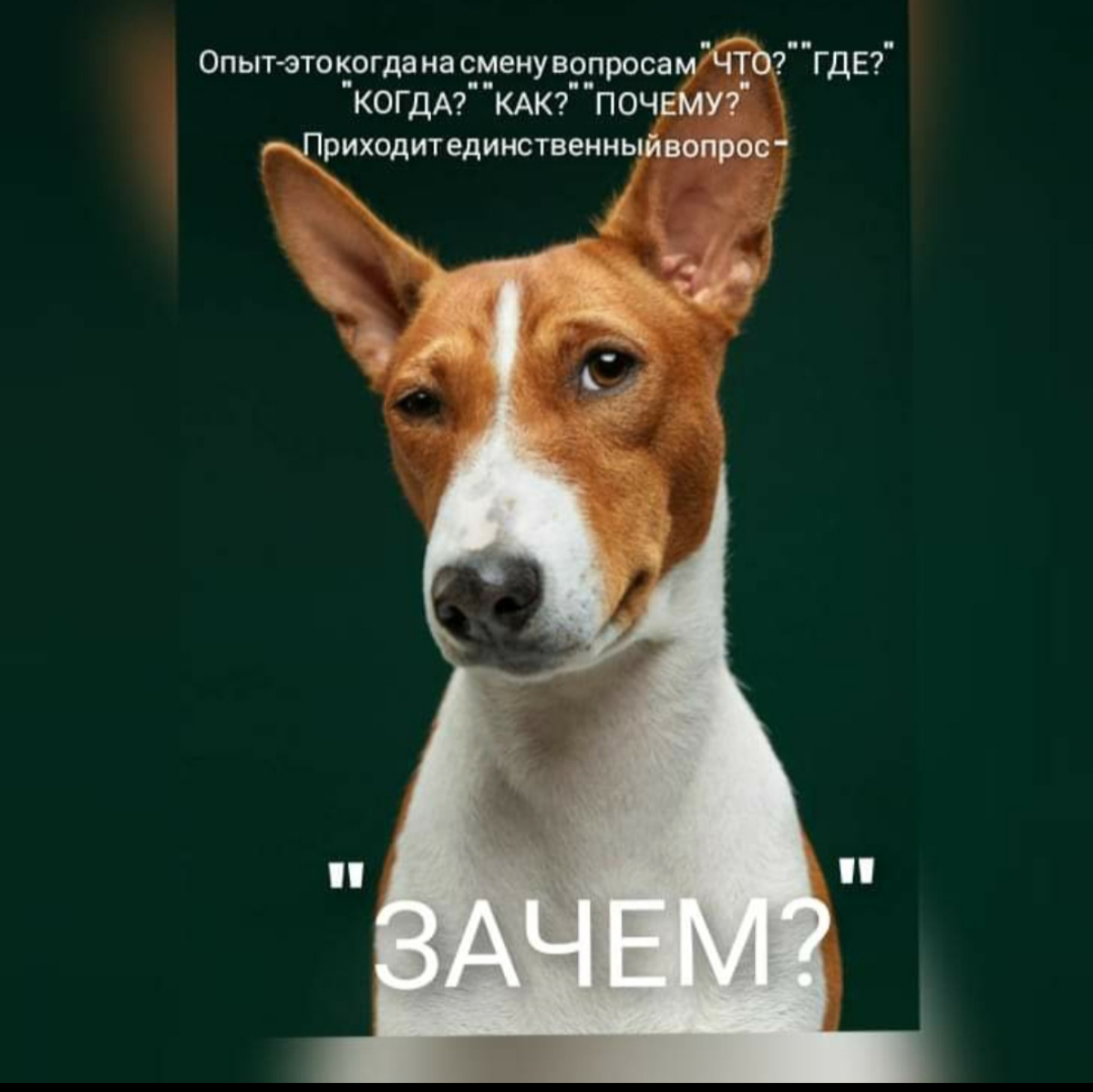 ❗На текущей неделе мы с вами вывели ряд вопросов, которые неуместно задавать на собеседовании  при трудоустройстве на работу.
Итак, это:
-Вопросы касающиеся личной жизни | Сетка — социальная сеть от hh.ru