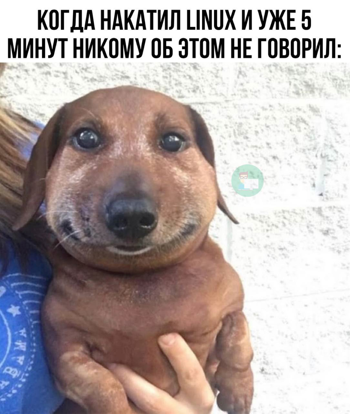 Сетка — социальная сеть от hh.ru