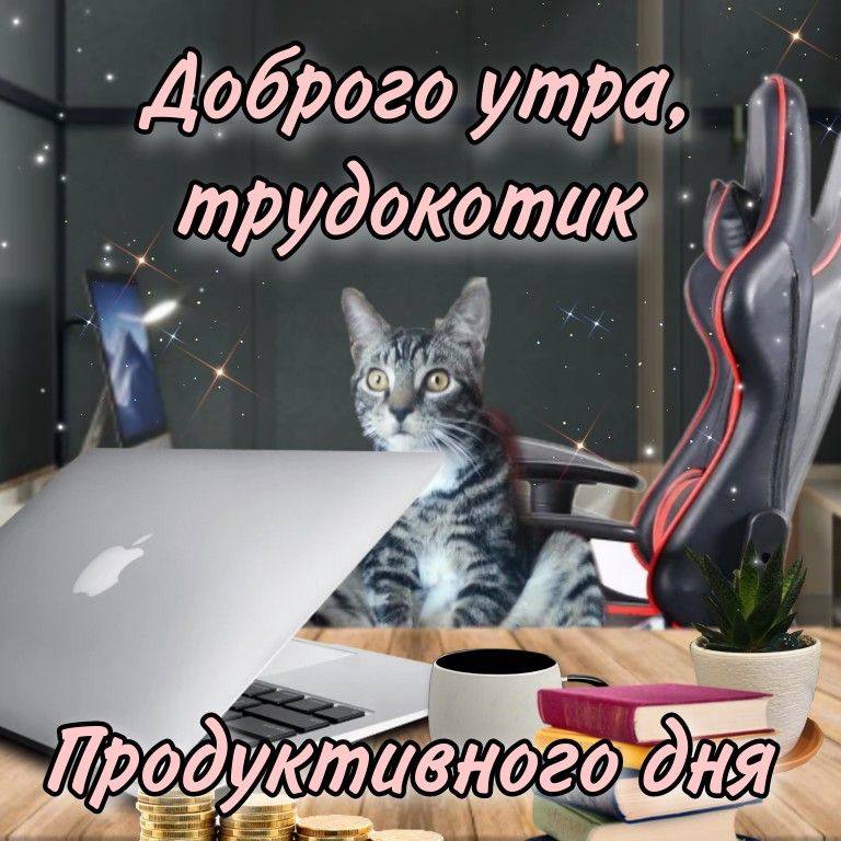 Сегодня отмечается День трудяги. Отправь тому самому, пусть сильно не напрягается сегодня | Сетка — социальная сеть от hh.ru