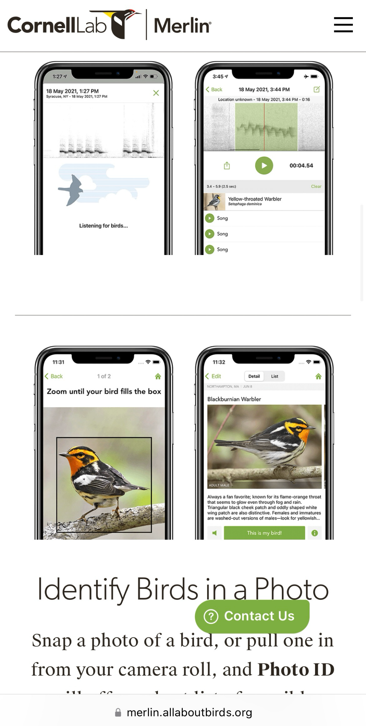 ⚡️Merlin Bird ID нейросеть - индентифицирует птиц по пению 🦅
Нейронка подскажет что за птица поет под окном 😎
Merlin Bird ID — это приложение, разработанное Корнеллской орнитологической лабораторией | Сетка — социальная сеть от hh.ru