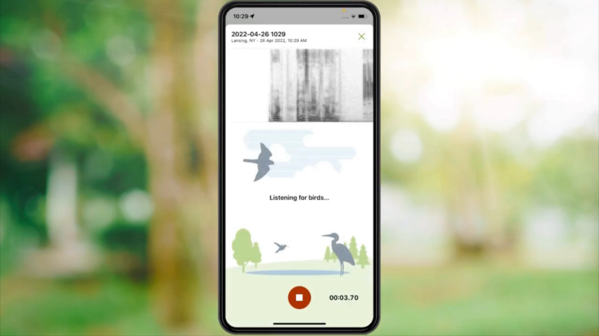 ⚡️Merlin Bird ID нейросеть - индентифицирует птиц по пению 🦅
Нейронка подскажет что за птица поет под окном 😎
Merlin Bird ID — это приложение, разработанное Корнеллской орнитологической лабораторией | Сетка — социальная сеть от hh.ru