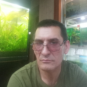 Владимир Рыбкин