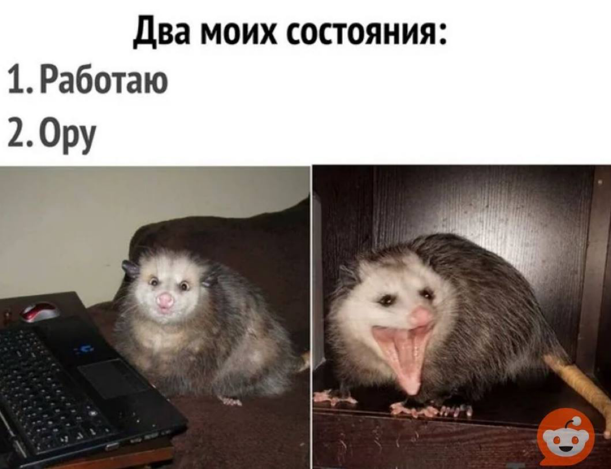 Сегодня день трудяги оказывается!
Такое мы любим, всех, кто в офисе после 19:00, — поздравляю!😁 | Сетка — социальная сеть от hh.ru
