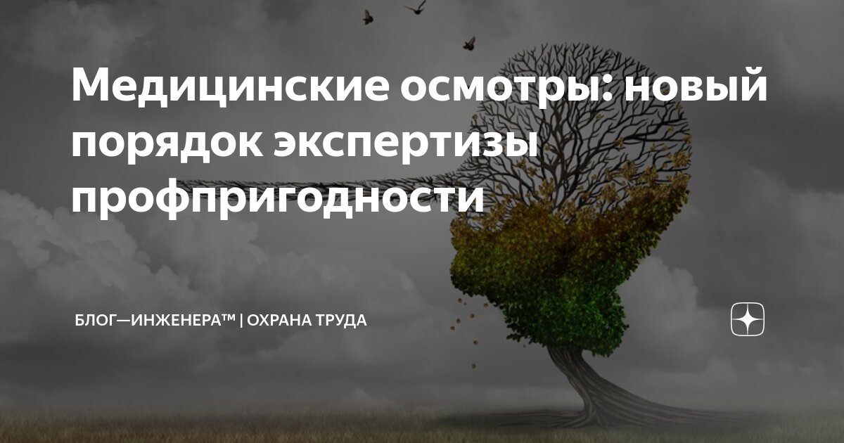 🤕 Новый порядок экспертизы профпригодности
ℹ️ Минздрав разработал проект нового Порядка экспертизы профпригодности работников, у которых при проведении медосмотров выявлены противопоказания к работе | Сетка — социальная сеть от hh.ru