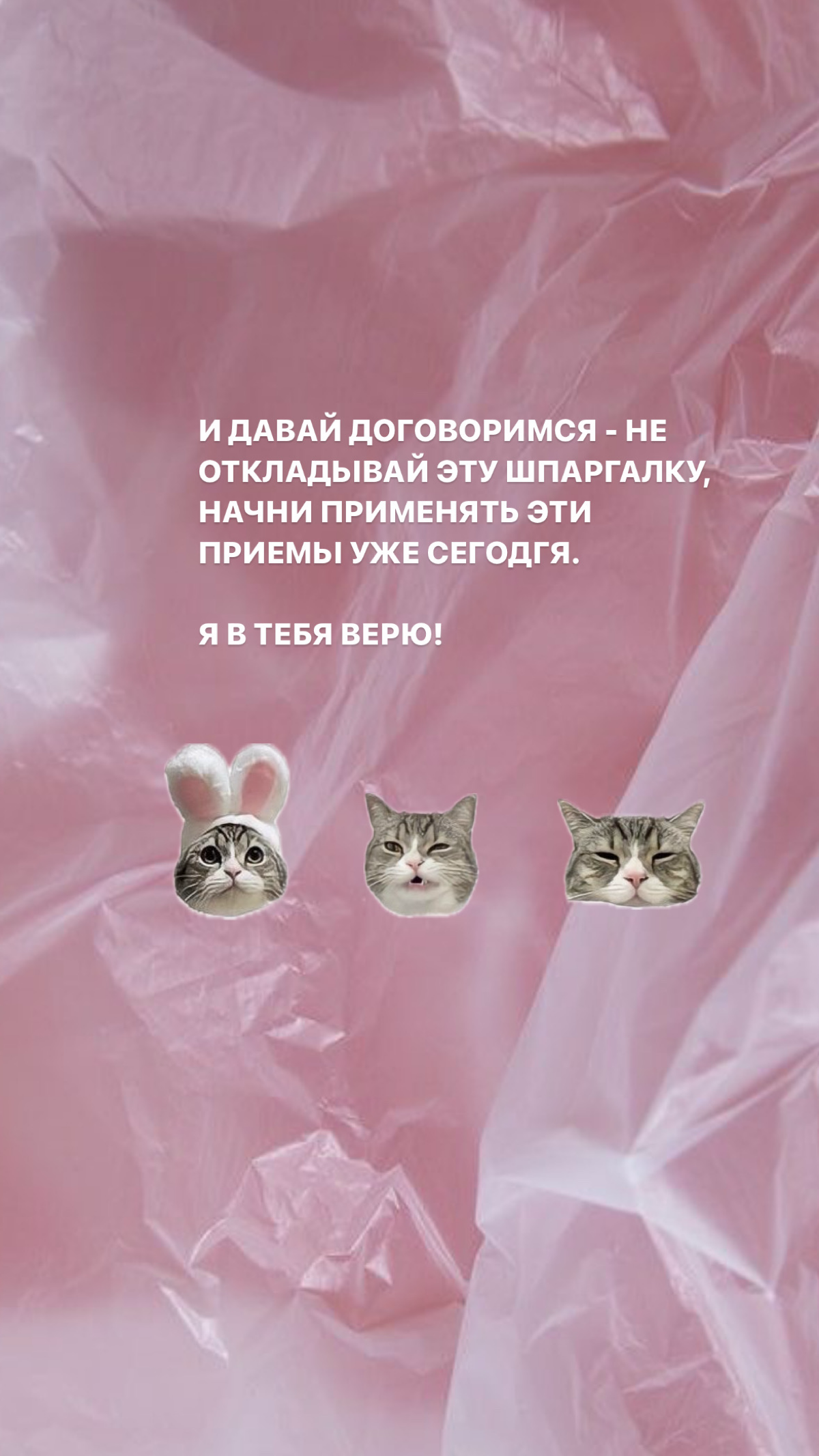 Хотите получить бесплатную шпаргалку антиПрокрастинатор?
Просто ставь в комментариях +, и супер практичное эффективное пособие по борьбе с ленью будет у тебя в личных сообщениях | Сетка — социальная сеть от hh.ru