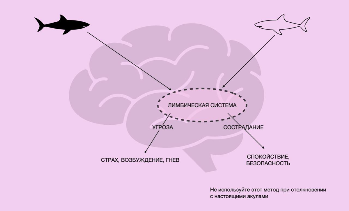 Главная проблема конфликтов — неконтролируемые вспышки гнева | Сетка — социальная сеть от hh.ru