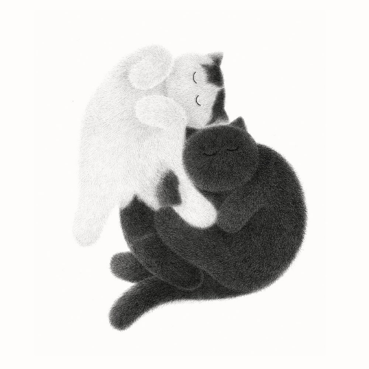 Котейки иллюстратора Камвея Фонга из Малайзии | Сетка — социальная сеть от hh.ru