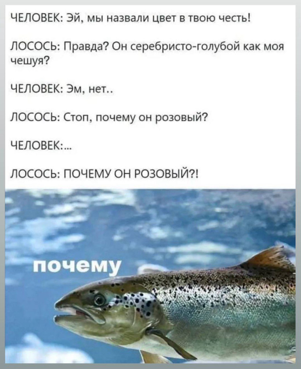 Как мы зовем этот цвет? Лососевый? | Сетка — социальная сеть от hh.ru