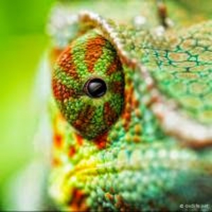 Андрей Полищук