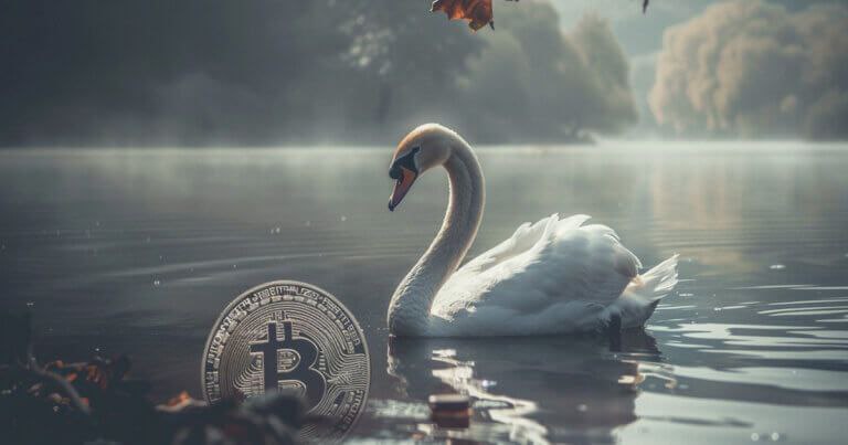 Swan Bitcoin прекращает майнинг, отменяет IPO и объявляет о сокращении персонала | Сетка — социальная сеть от hh.ru