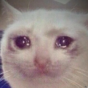 Респонденты для коридорок