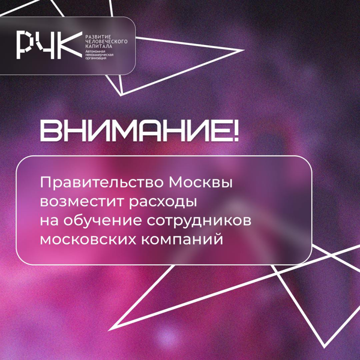 ⚡ Мы к вам с хорошей новостью! | Сетка — социальная сеть от hh.ru