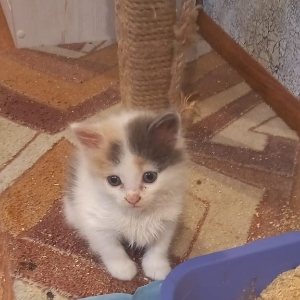 Леля Малютина