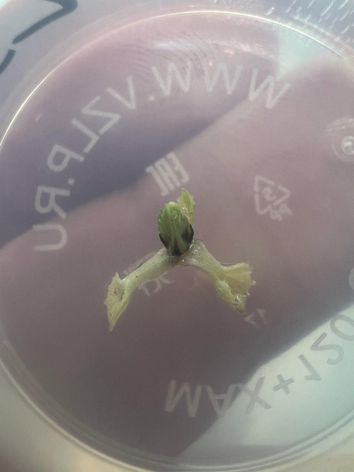 Есть прогресс! | Сетка — социальная сеть от hh.ru