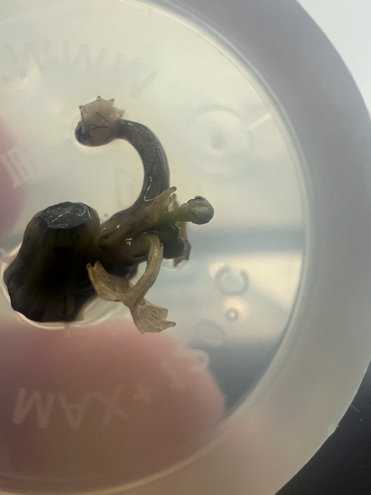 Есть прогресс! | Сетка — социальная сеть от hh.ru