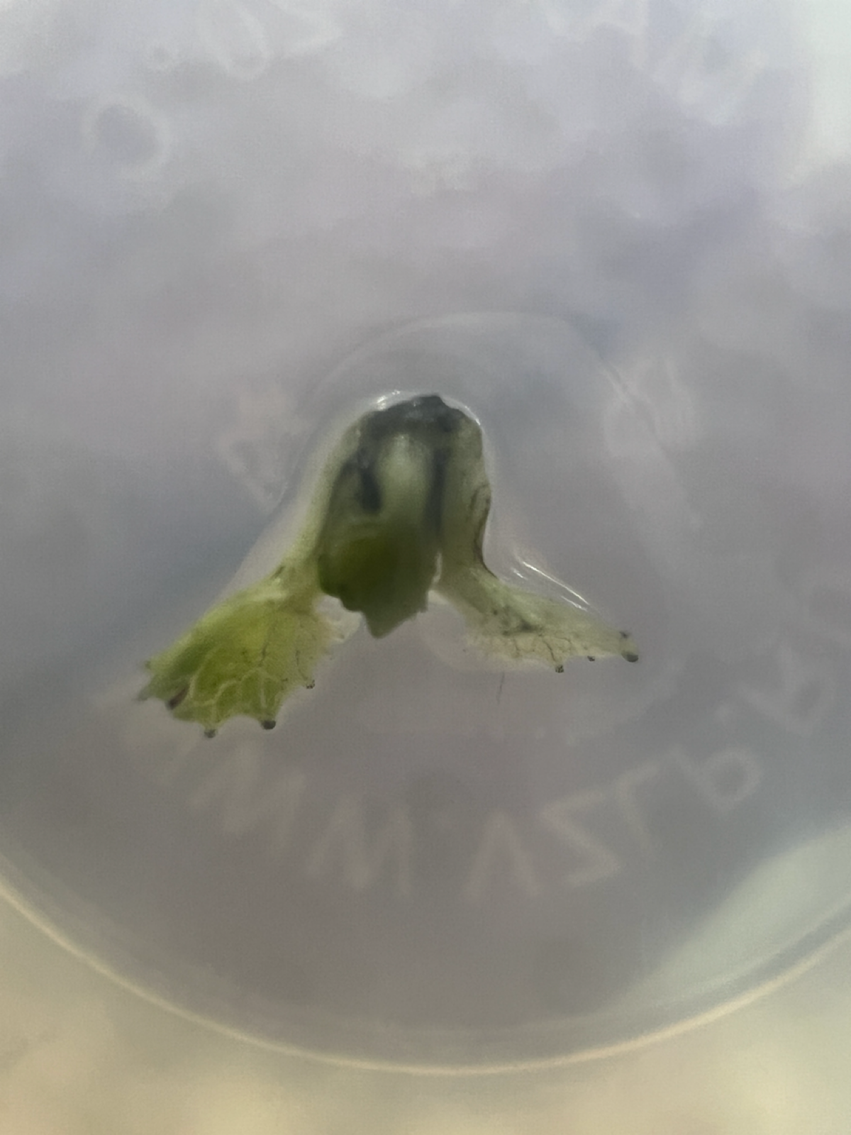 Есть прогресс! | Сетка — социальная сеть от hh.ru