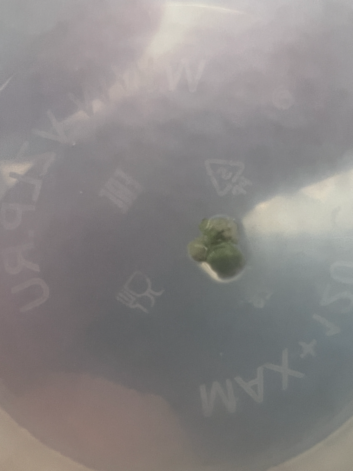 Есть прогресс! | Сетка — социальная сеть от hh.ru