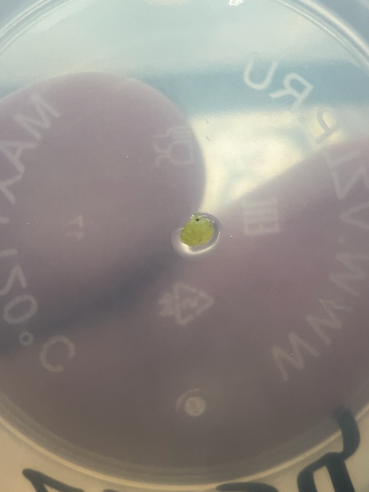 Есть прогресс! | Сетка — социальная сеть от hh.ru