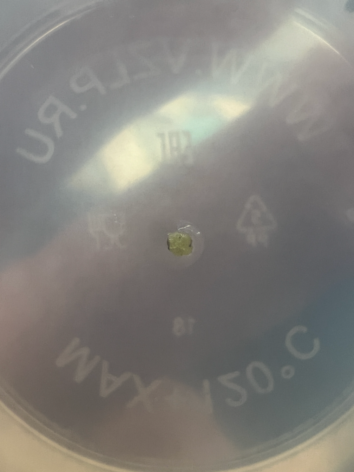 Есть прогресс! | Сетка — социальная сеть от hh.ru