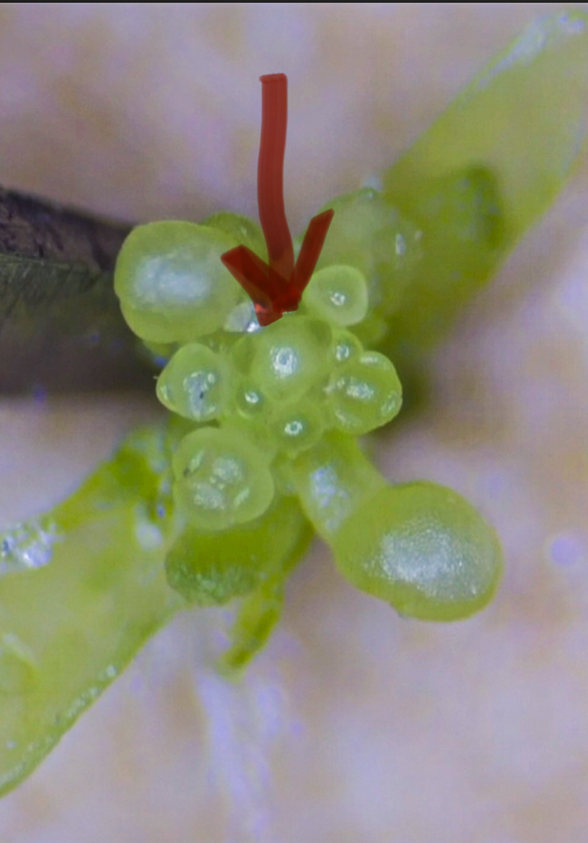 Есть прогресс! | Сетка — социальная сеть от hh.ru