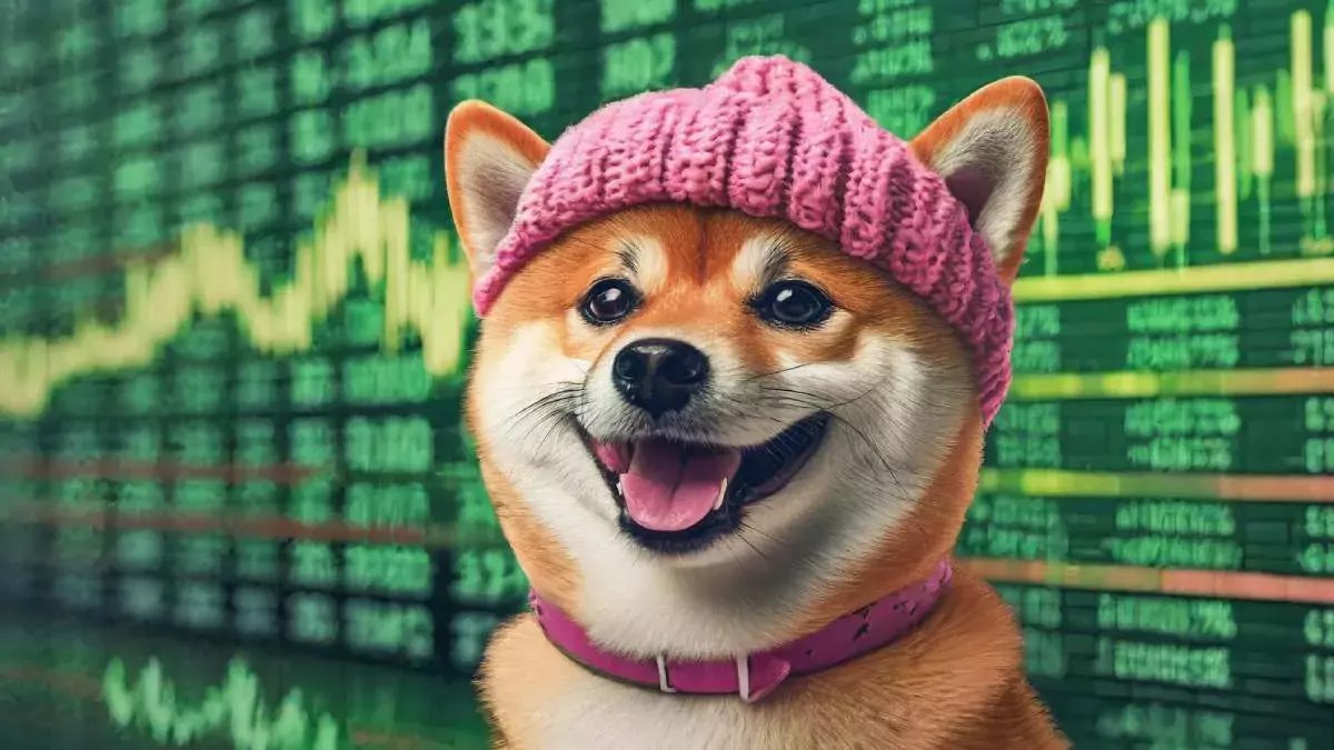 Аналитик считает, что скоро Dogwifhat ждёт резкий скачок цены | Сетка — социальная сеть от hh.ru
